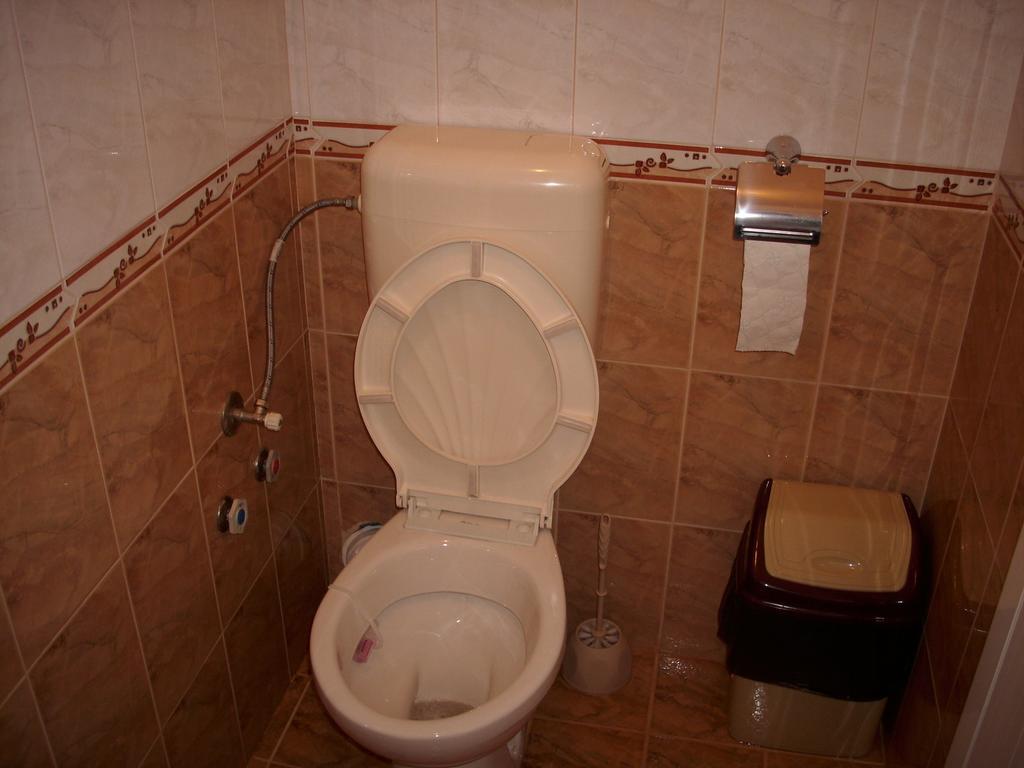 Georgievi Guest House 포마리 외부 사진